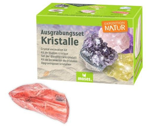 Mini-Ausgrabungsset Kristall