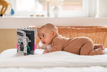 Laden Sie das Bild in den Galerie-Viewer, Babys kuschelweiches Kontrastbuch &quot;Kuckuck kleiner Käfer!&quot;