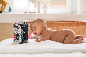 Babys kuschelweiches Kontrastbuch "Kuckuck kleiner Käfer!"