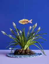 Laden Sie das Bild in den Galerie-Viewer, Lucky Charm Fish