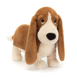 Randall Basset Hund