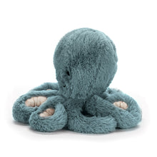 Laden Sie das Bild in den Galerie-Viewer, Storm Octopus Baby