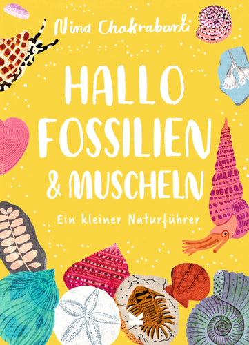 Hallo Fossilien & Muscheln ab 6J.