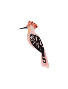 Hoopoe