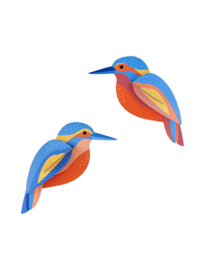 Kingfishers