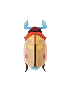 Lemon Fruit Beetle